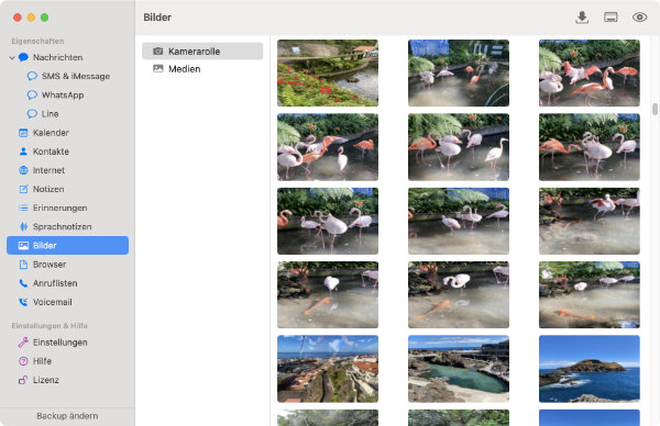 So stellen Sie Fotos aus dem iPhone-Backup auf dem Mac wieder her