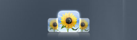 TouchCopy transfers photos