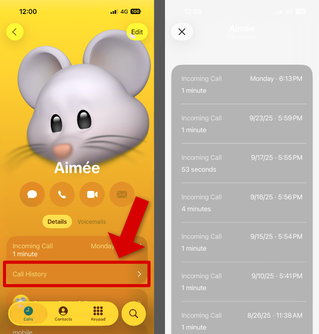 Erweiterter Anrufverlauf für einen Kontakt auf dem iPhone
