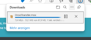 Wählen Sie im Download-Fenster des Browsers Speichern
