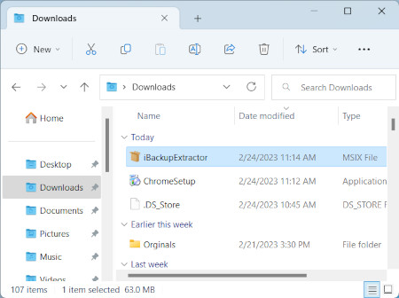 iBackup Extractor Installationsprogramm auf Ihren PC herunterladen