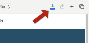 Wählen Sie im Download-Fenster des Browsers Speichern