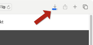 Wählen Sie im Download-Fenster des Browsers Speichern