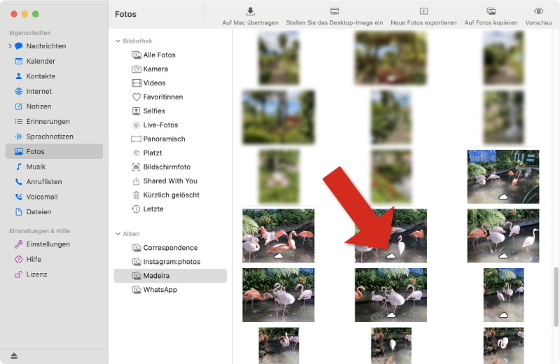 TouchCopy: iCloud-Fotos
