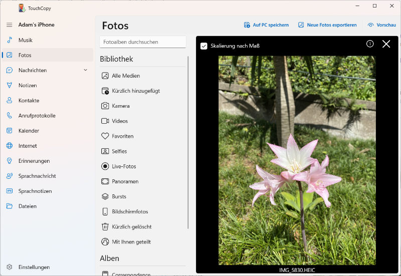 iPhone-Fotos in voller Größe unter Windows ansehen