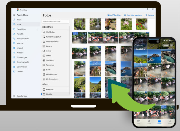 Fotos vom iPhone mit TouchCopy auf den Computer kopieren